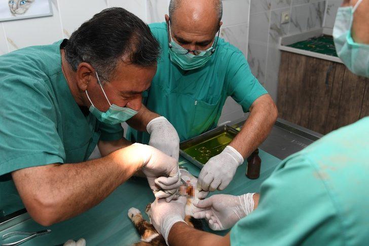 Balık sevdası başına dert açtı G5