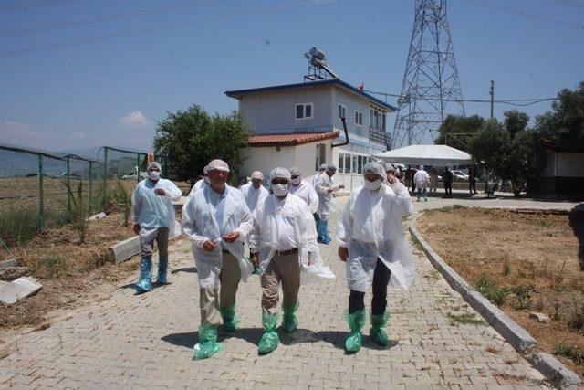 Manavgat’ın 3.  Hastalıktan Ari Sertifikası verildi