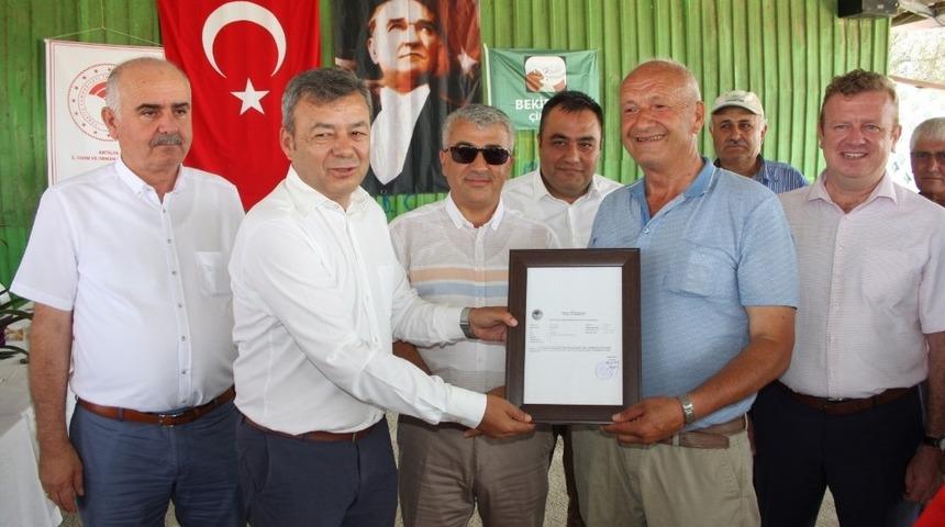 Manavgat&rsquo;ın 3.  Hastalıktan Ari Sertifikası verildi