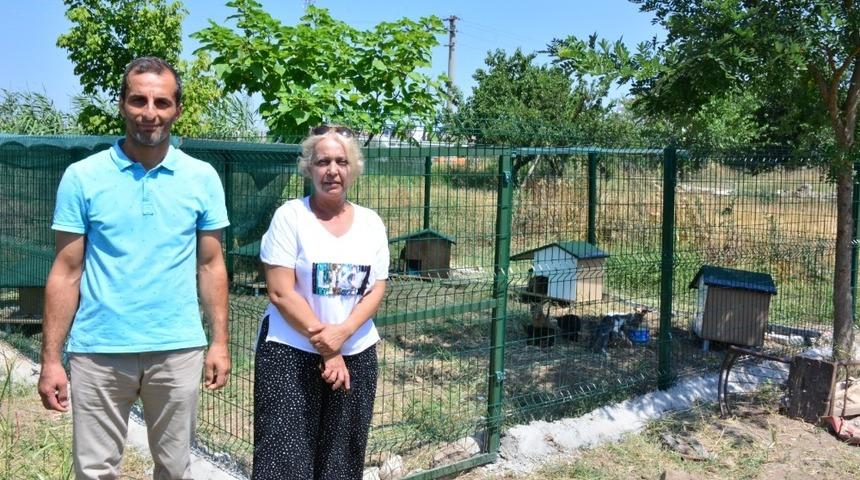 Kedilere yuva &ccedil;ağrısına belediye kayıtsız kalmadı