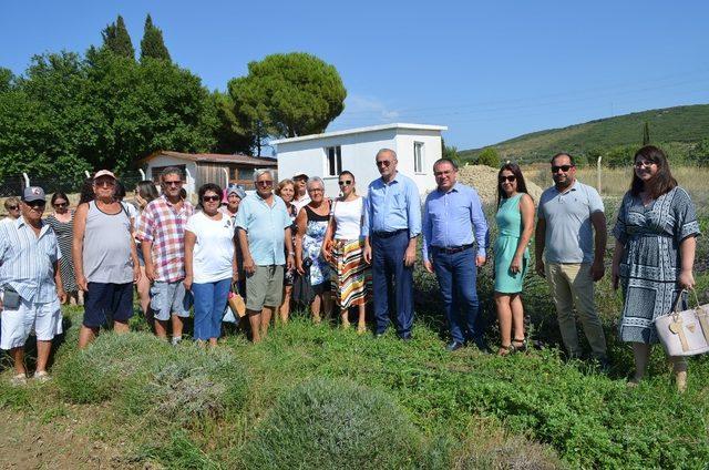 Didim Belediyesinden halka ücretsiz sera gezisi