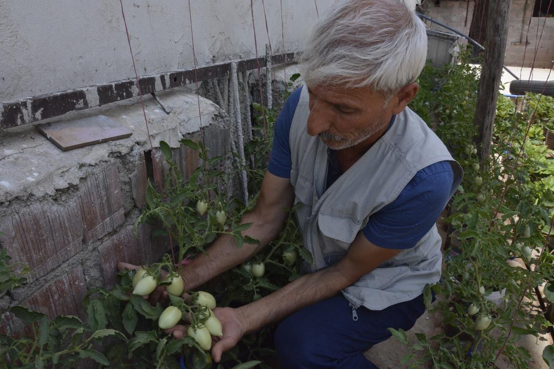 &Ccedil;atıda atık malzemelerden kurduğu sera ile 10 kişilik aileye bakıyor