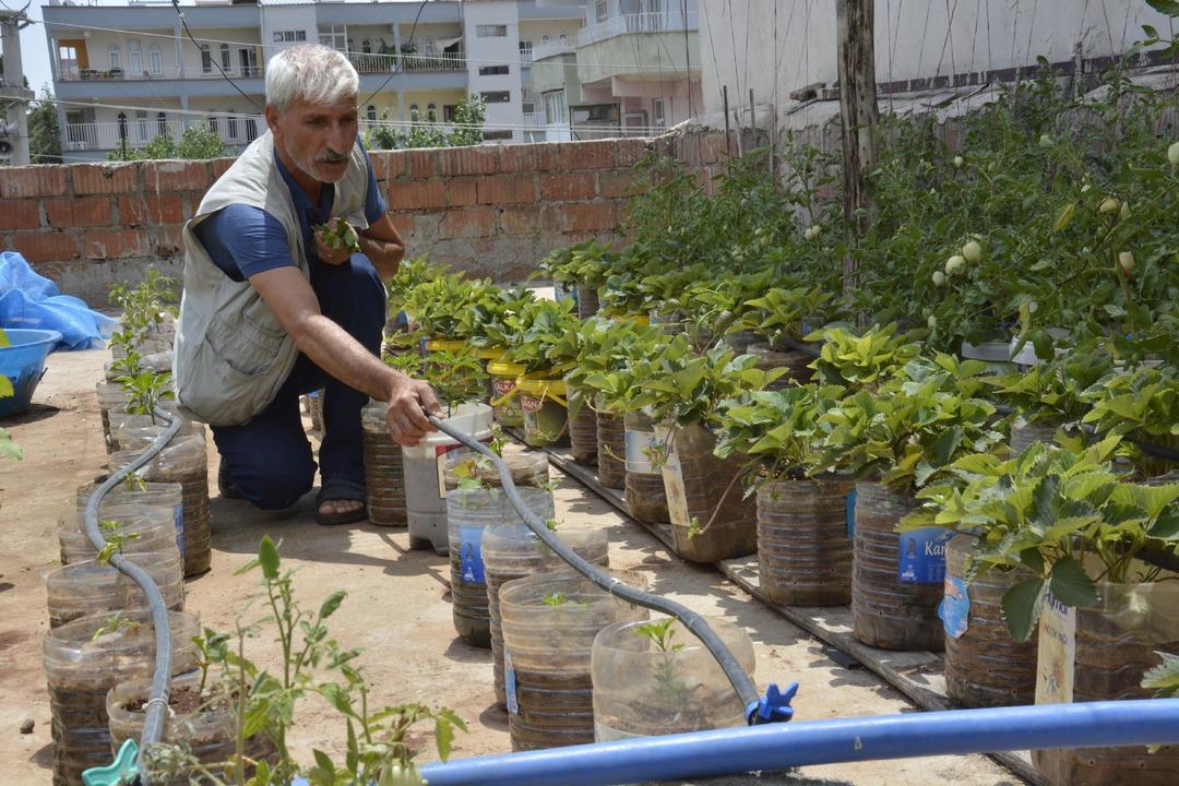 &Ccedil;atıda kurduğu sera ile 10 kişilik aileye bakıyor