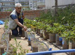 Çatıda kurduğu sera ile 10 kişilik aileye bakıyor