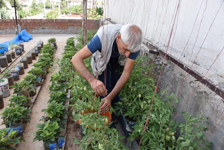 Catida Kurdugu Sera Ile 10 Kisilik Aileye Bakiyor Finans Haberlerinin Dogru Adresi Mynet Finans Haber