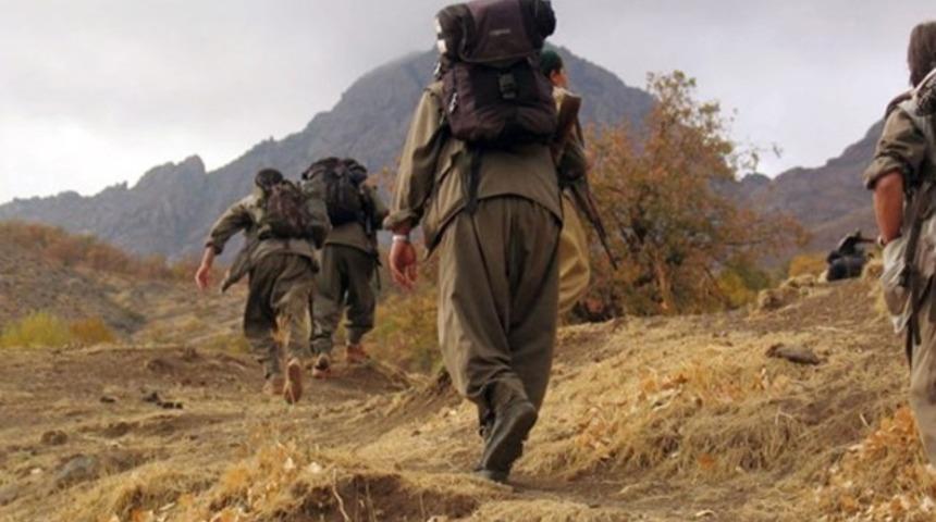 PKK, Peşmerge s&ouml;zc&uuml;s&uuml;n&uuml; ka&ccedil;ırdı