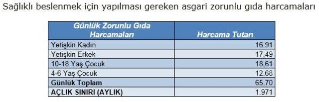 DÜZELTME - Bisam: Haziran’da açlık sınırı 1,971, yoksulluk sınırı 6,818 lira