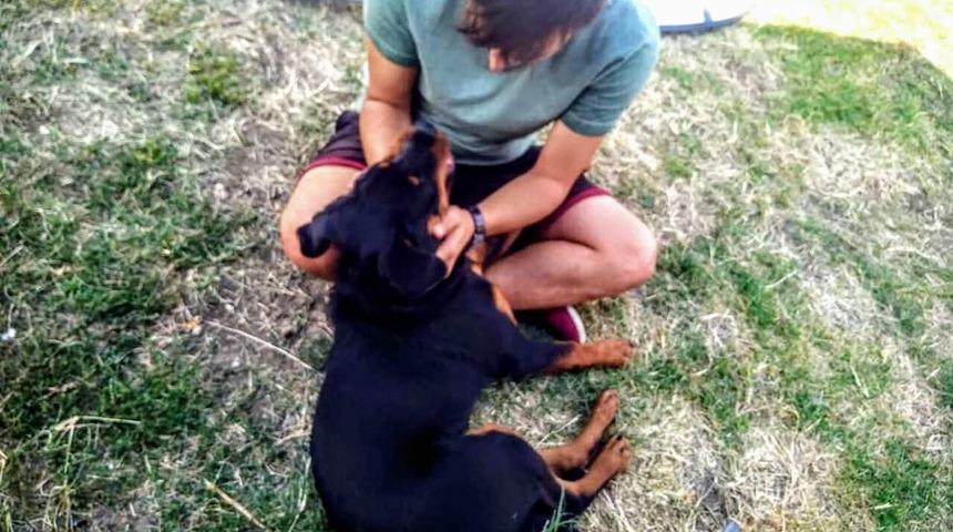 Malkaralı vatandaş kaybolan k&ouml;peğine kavuştu