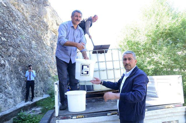 Tohma’ya 60 bin aynalı sazan balık bırakıldı