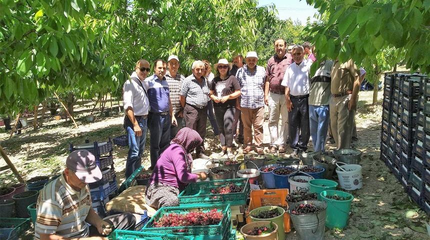 'ABD'nin kiraza ek vergisi, Çin'in gözünde Türk kirazını avantajlı yaptı'