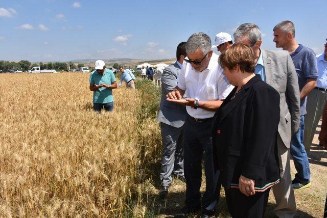 İnönü’de ‘Tarla Günü’ yapıldı