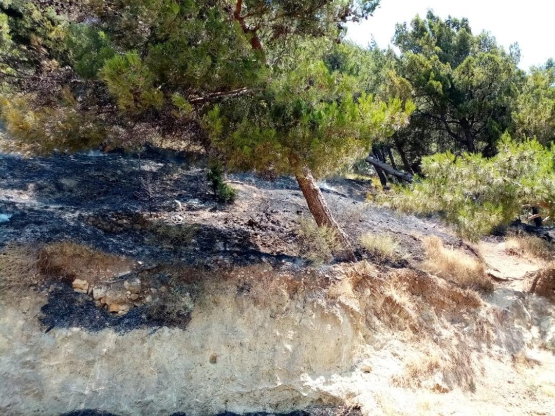 &Ccedil;ocukların attığı maytap orman yangınına neden oldu