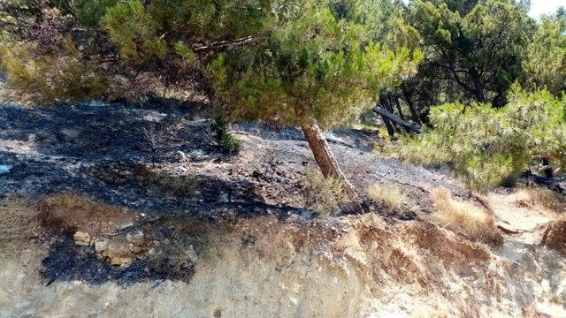 Çocukların attığı maytap orman yangınına neden oldu