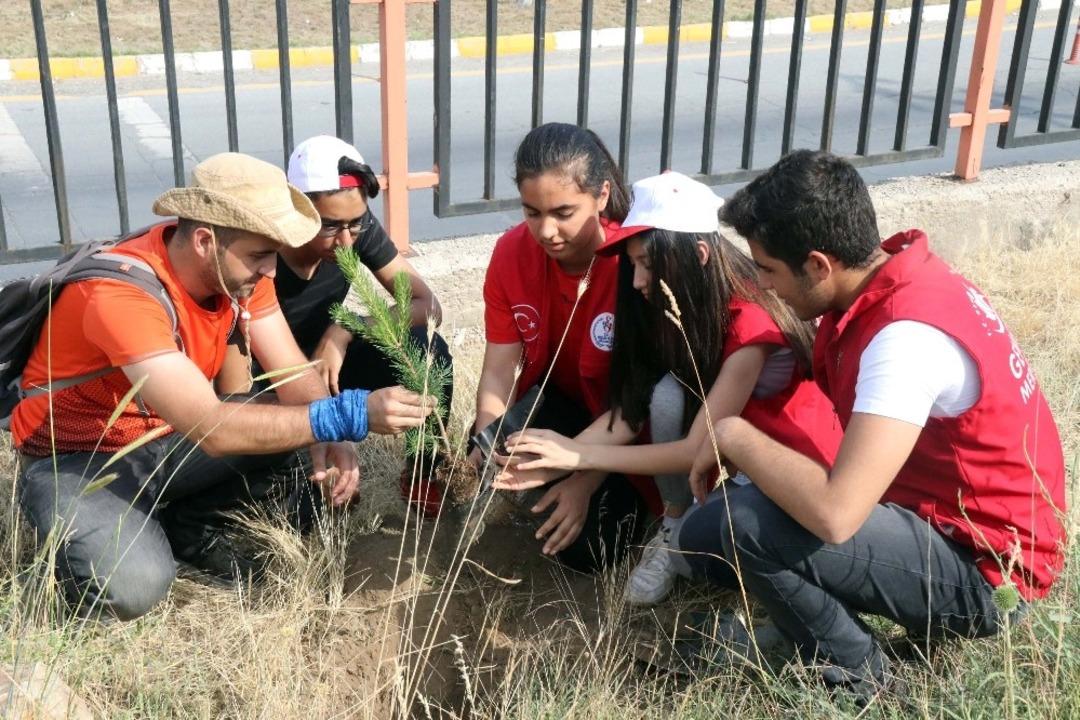İşinden istifa etti, d&uuml;nya barışı i&ccedil;in Bitlis&rsquo;te fidan dikti