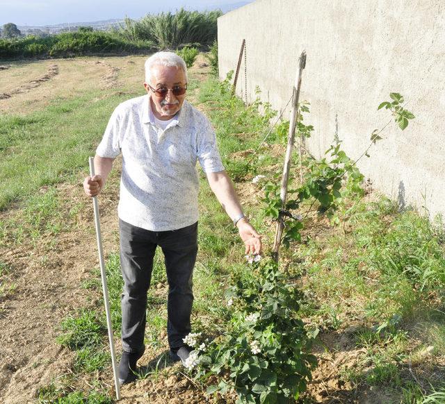 Emekli olunca solucan gübresi üretmeye başladı