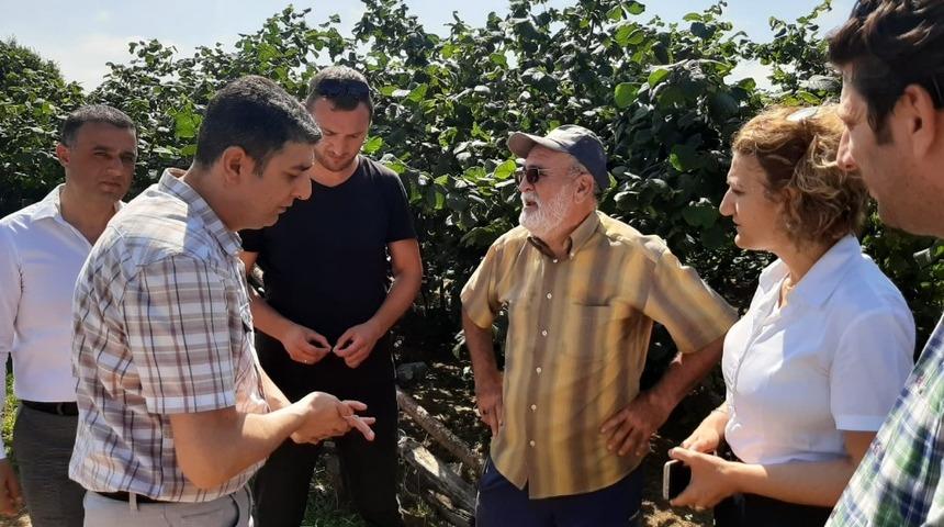 Fındık verimliliğini artırma çalıştayı meyvelerini vermeye başladı