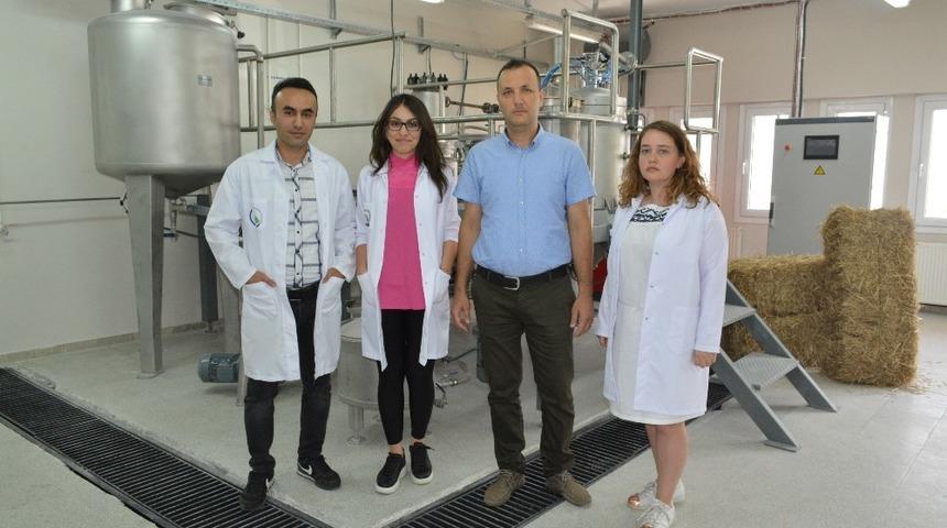 Endüstriyel kenevir yetiştiriciliği için önemli girişim