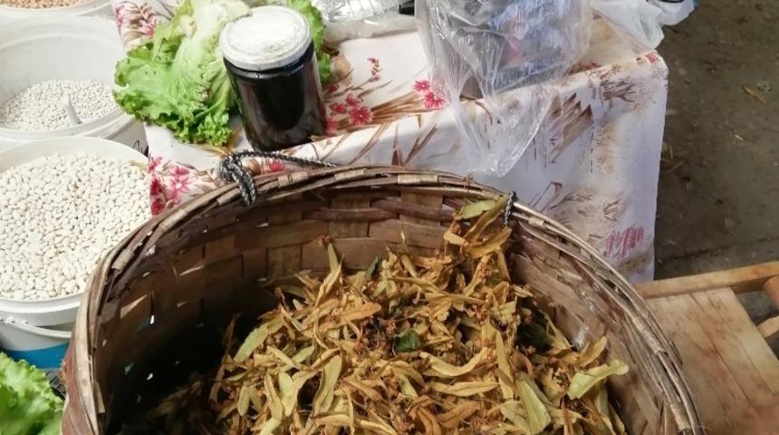 Şifa Gerze tezgahlarında