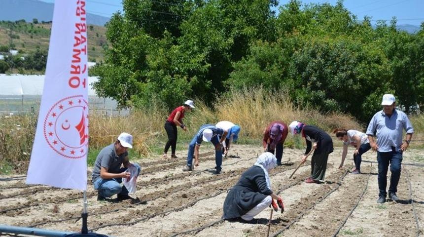 Yöreye özgü fasulye tohumları toprakla buluştu