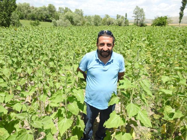 Büyük ikramiyeyi alan çiftçi, köyüne geri döndü