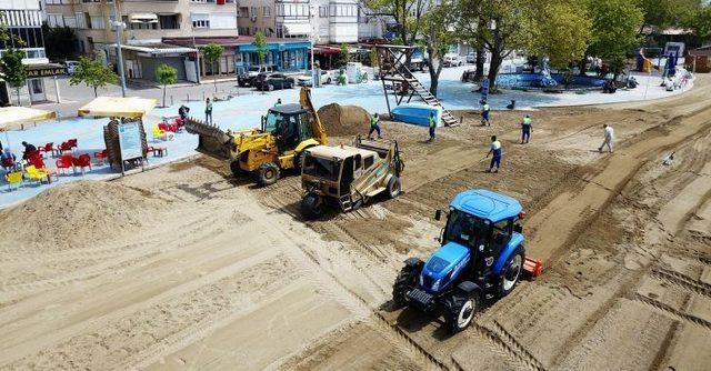 Bursa plajları yosunlardan arındırılıyor