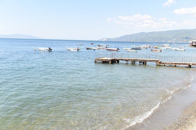 Bursa plajları yosunlardan arındırılıyor