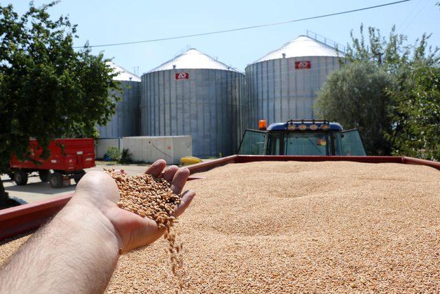 Edirne'de lisanslı depolara mahsul alımları başladı