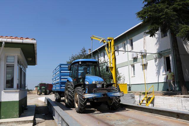 Edirne'de lisanslı depolara mahsul alımları başladı