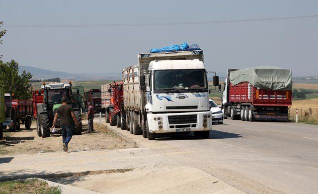 Edirne'de lisanslı depolara mahsul alımları başladı