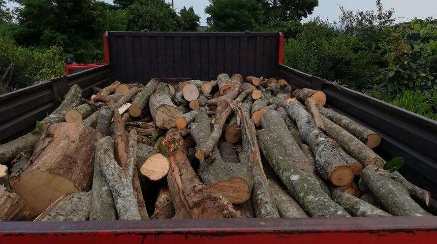 Ormandan ka&ccedil;ak odun kesenler jandarmaya yakalandı