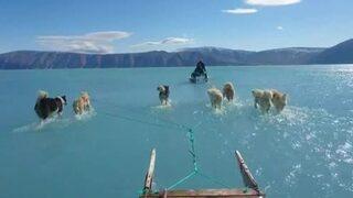 Küresel ısınmanın geldiği son noktayı gösteren çarpıcı görüntü