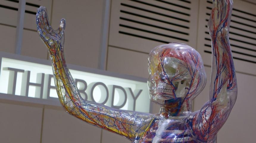 İnsan vücudu içine bir yolculuğa çıkmaya ne dersiniz?