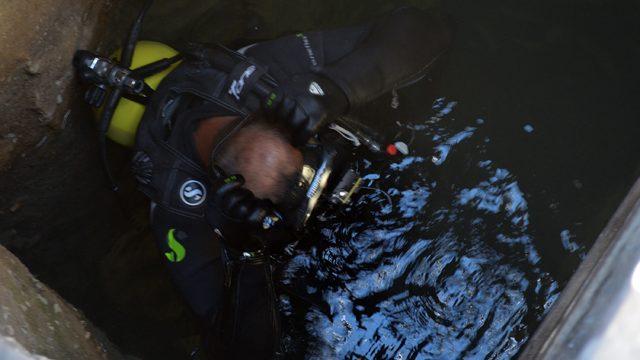 Zebra midyeleri içme suyu şebekesi ve Aygır Gölü'nü tehdit ediyor