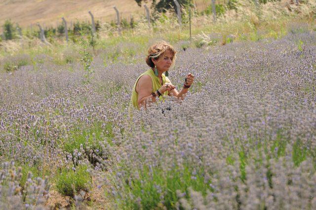 Lavanta bah&ccedil;esini sanat eserleriyle buluşturdu 1