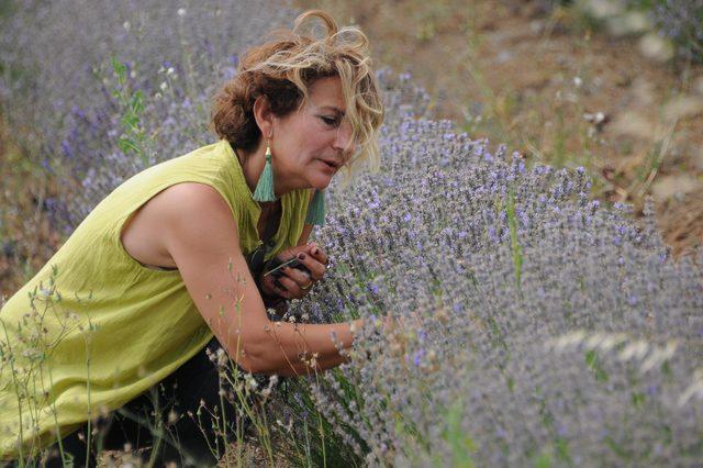 Lavanta bah&ccedil;esini sanat eserleriyle buluşturdu 3