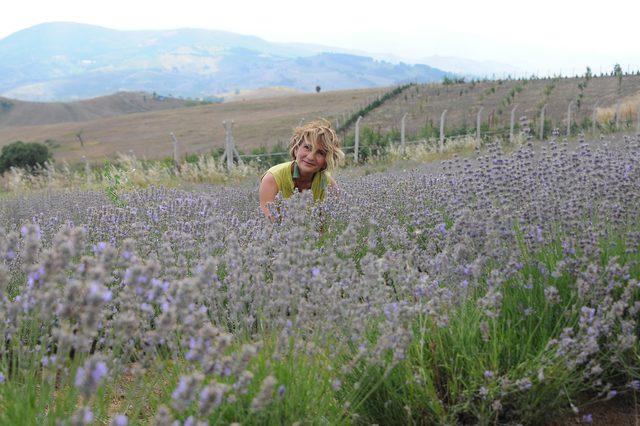 Lavanta bah&ccedil;esini sanat eserleriyle buluşturdu 4