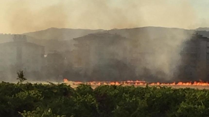 Anız yangını korkuttu