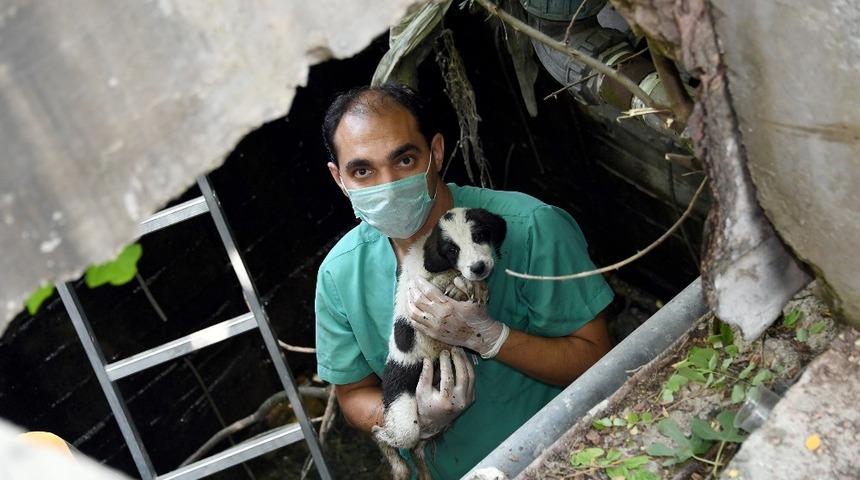 Kuyuya d&uuml;şen k&ouml;pek yavrularını beledi ekipleri kurtardı