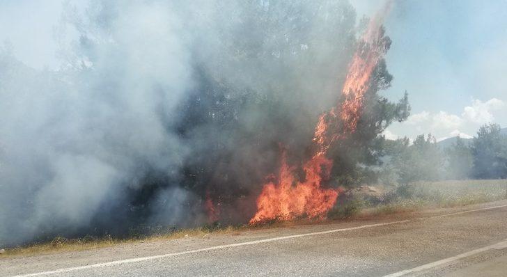 Sorumsuz piknikçiler orman yangınına sebep oldu G2