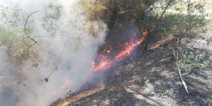 Sorumsuz piknikçiler orman yangınına sebep oldu G3