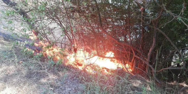 Sorumsuz piknikçiler orman yangınına sebep oldu G4