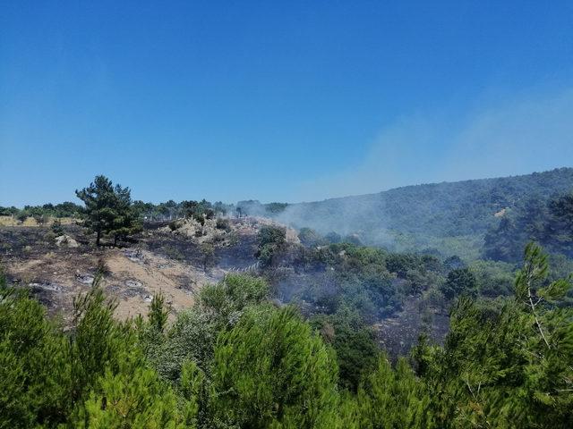 Ayvacık ta, 3 hektarlık tarım arazisi yandı 1