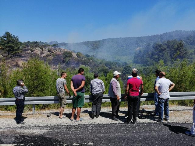 Ayvacık ta, 3 hektarlık tarım arazisi yandı 3
