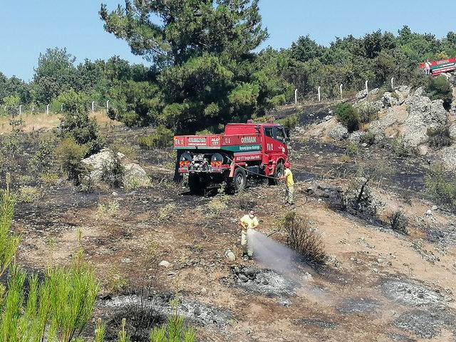 Ayvacık ta, 3 hektarlık tarım arazisi yandı 4