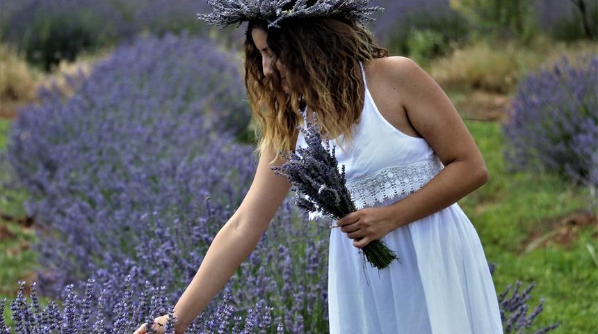 Isparta'da lavanta tarlaları rengarenk!