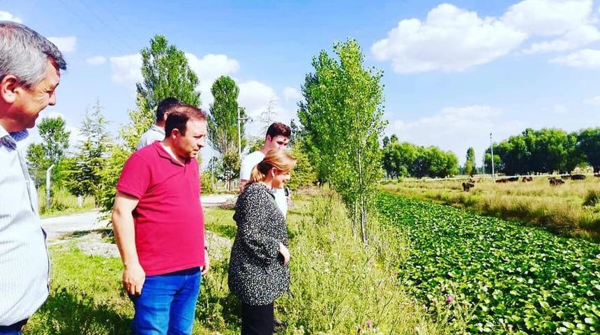 Altıntaş&rsquo;ta Nil&uuml;fer Deresi turizme kazandırılıyor