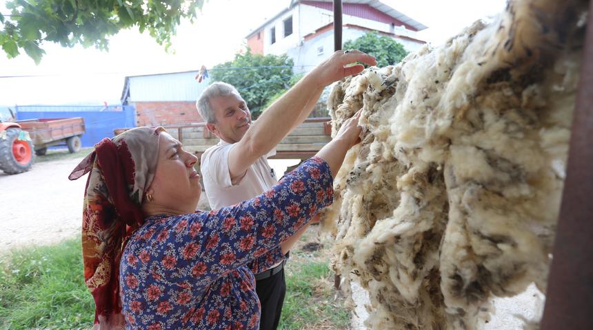 Yapağı, hayvan yetiştiricisinin elinde kaldı