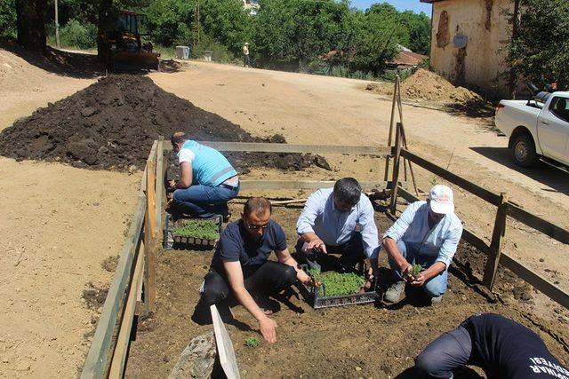 Kaymakam, şehitlik bakım çalışmalarında iş makinası kullandı ve peyzaj çalışmasına katıldı