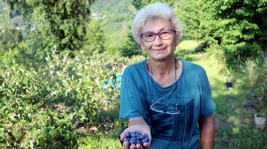 Mavi yemiş yetiştiren emekli doktor, siparişlere yetişemiyor