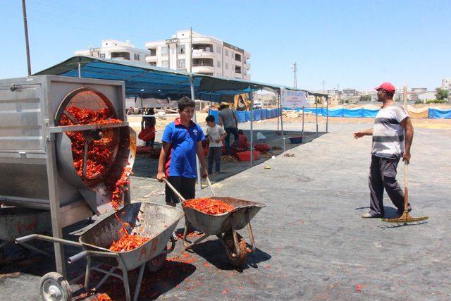 Şanlıurfalıların 'acı' telaşı başladı